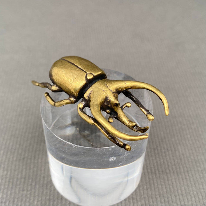 Brass Rhinoceros Beetle Desktop Decoration