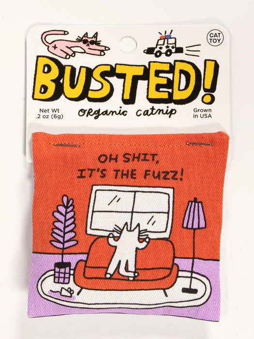 Catnip Toy