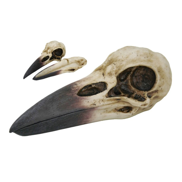 Raven Skull Box