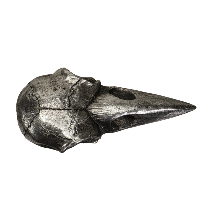 Raven Skull Hand Mirror
