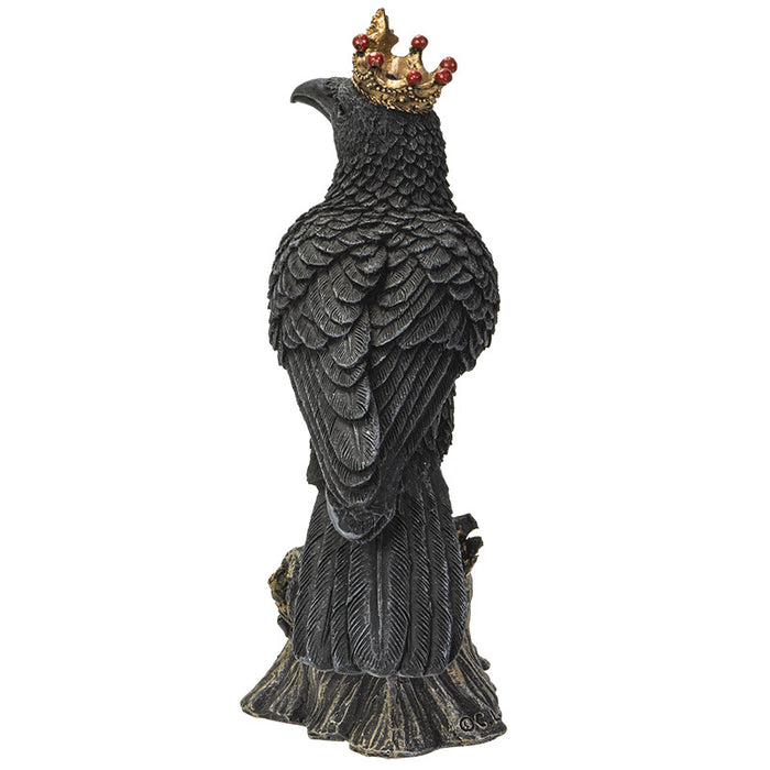 Crowned Raven