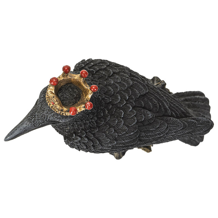 Crowned Raven