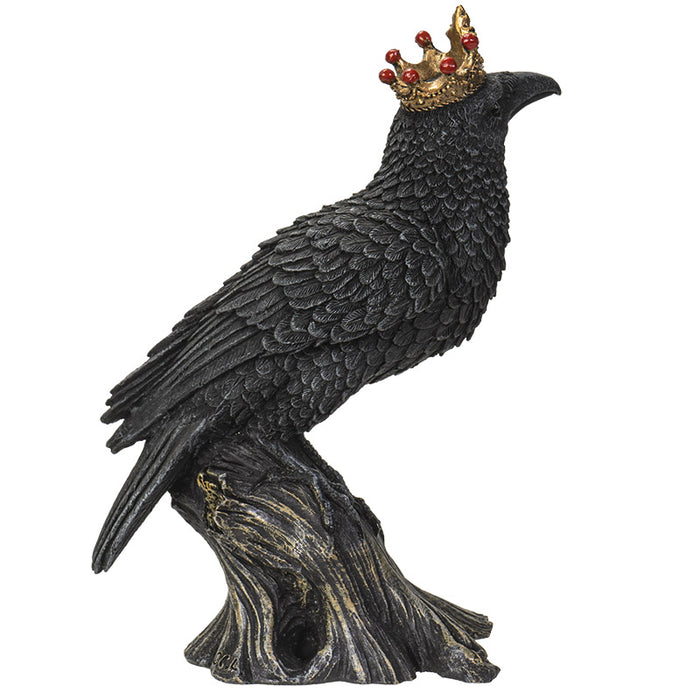 Crowned Raven