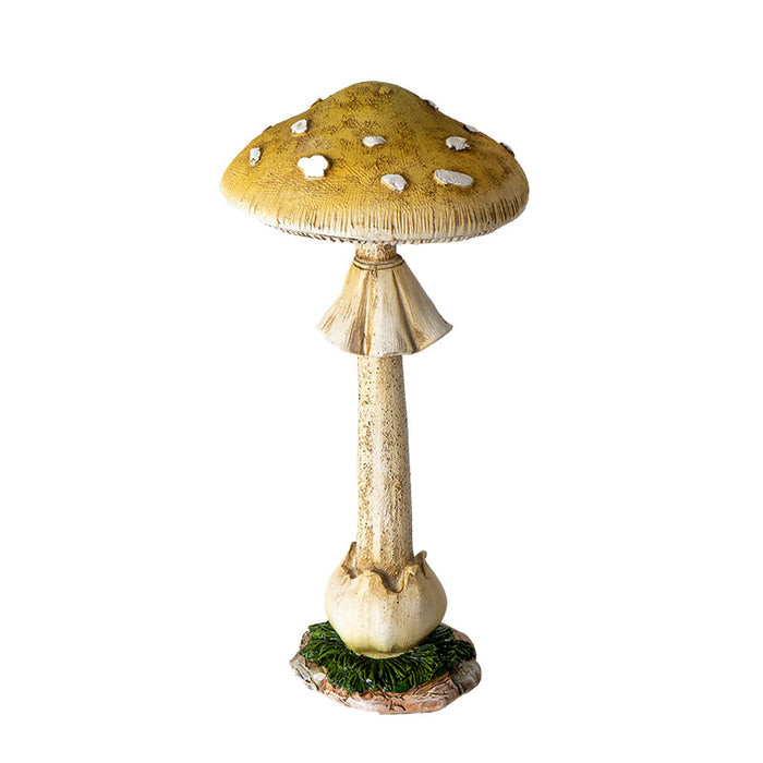 Toadstool Mushroom
