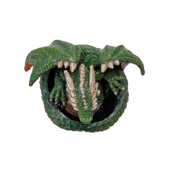 Green Dragon Hatchling