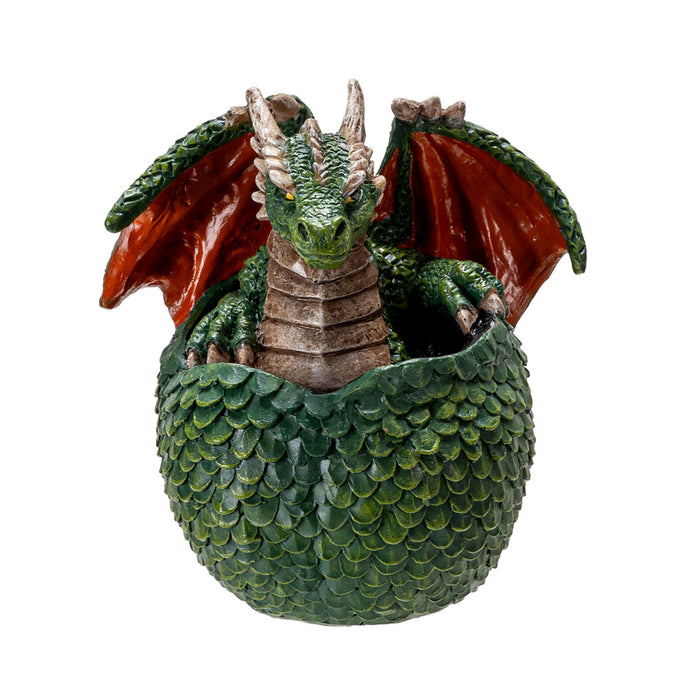 Green Dragon Hatchling