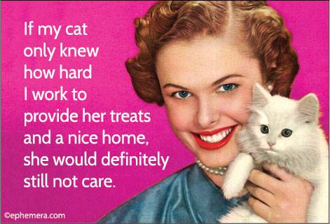 Ephemera Magnets 2025