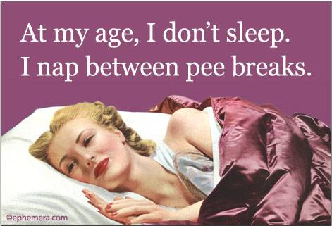 Ephemera Magnets 2025