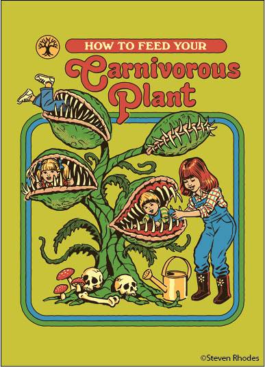 Ephemera Magnets Steven Rhodes