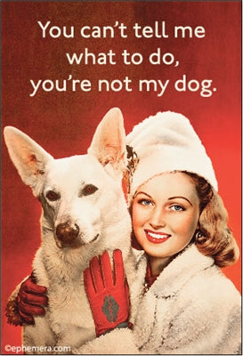 Ephemera Magnets 2025