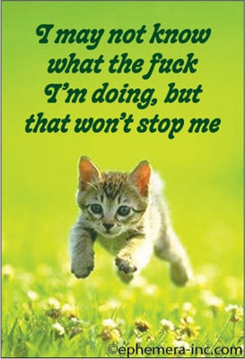 Ephemera Magnets 2025