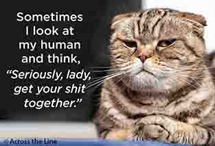 Ephemera Magnets 2025