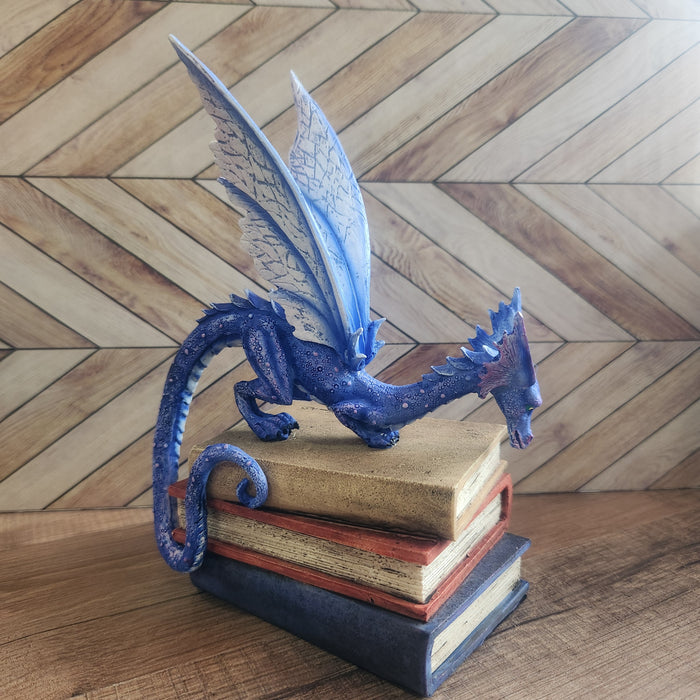 Book Dragon