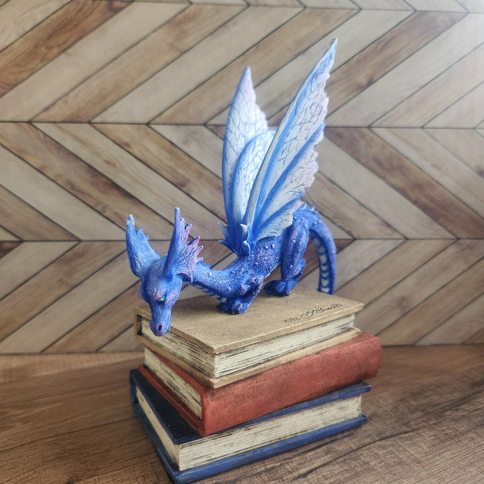 Book Dragon