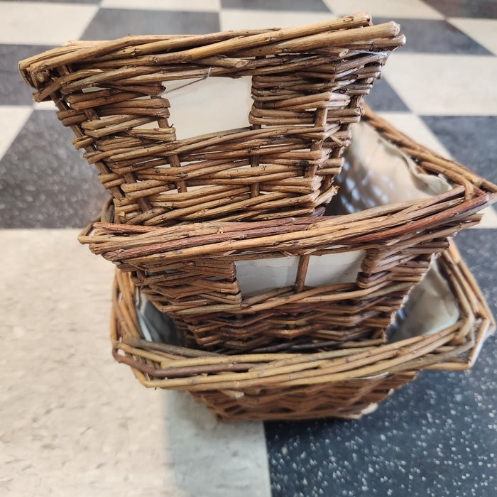 Rectangle Willow Basket w/Liner
