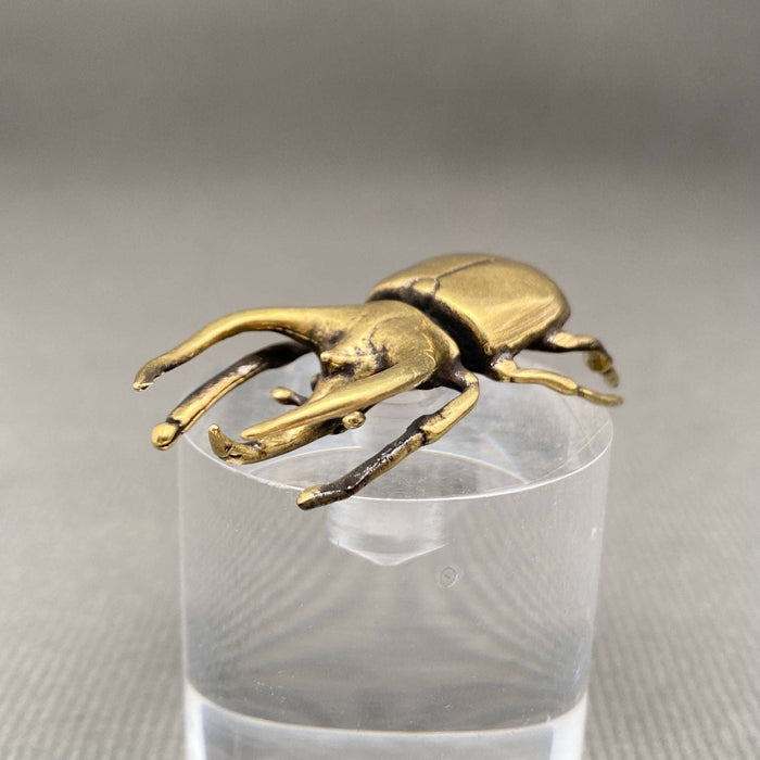 Brass Rhinoceros Beetle Desktop Decoration