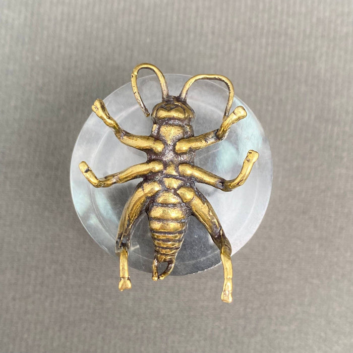 Brass Cricket  Desktop Decoration