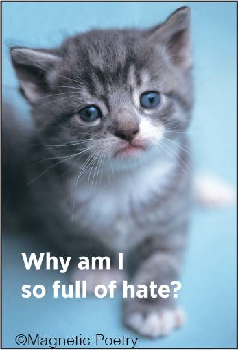 Ephemera Magnets 2025