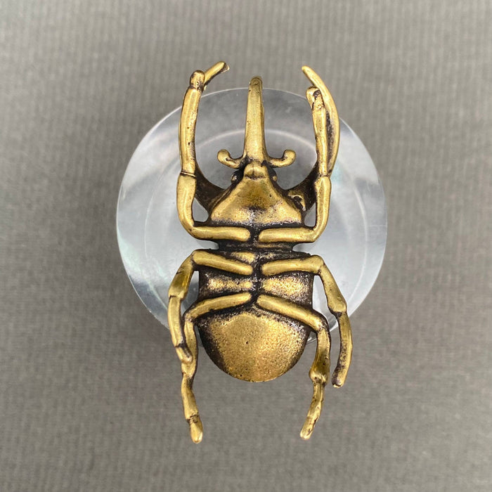 Brass Rhinoceros Beetle Desktop Decoration