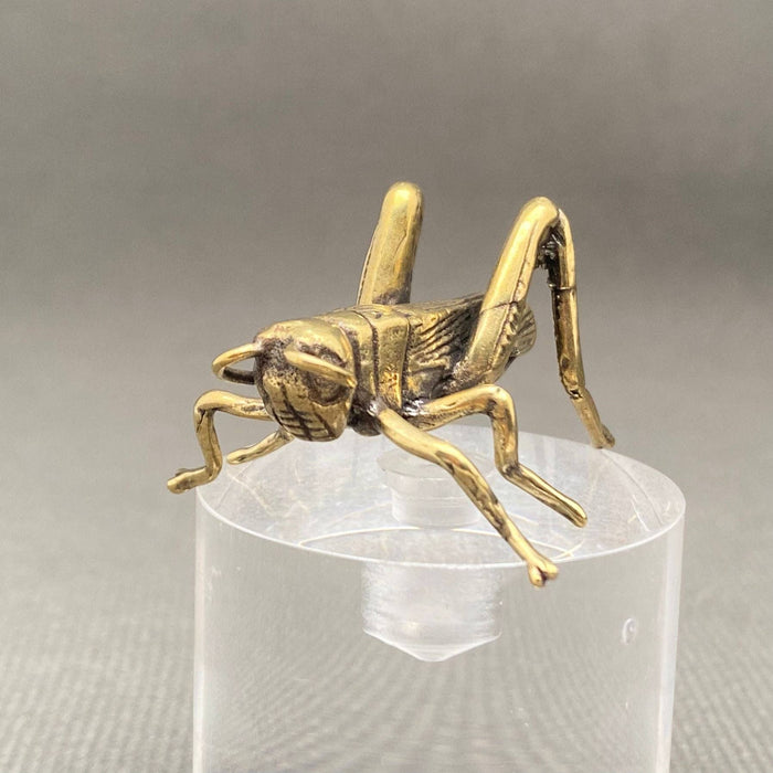 Brass Cricket Desktop Decoration