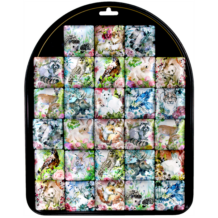 Woodland Garden Friends Magnets