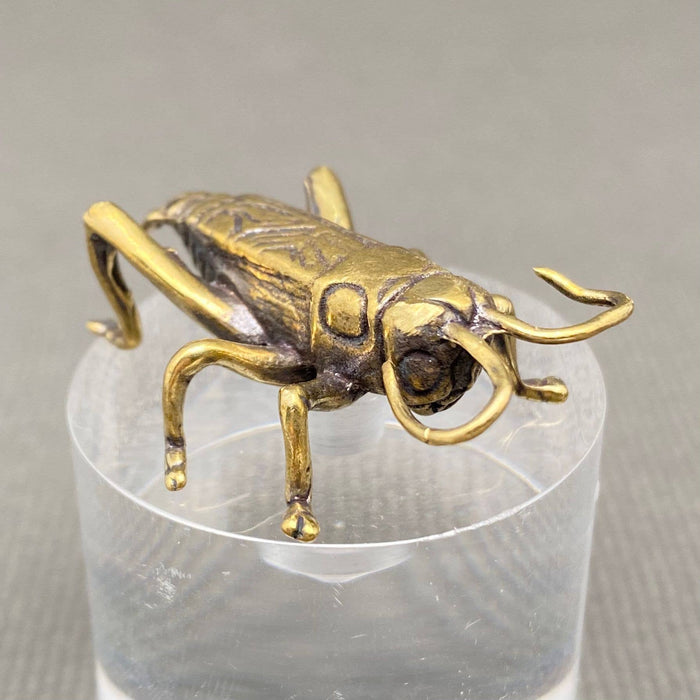 Brass Cricket  Desktop Decoration