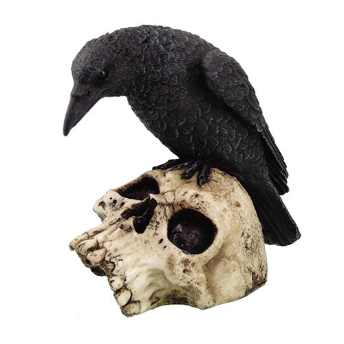 Raven on Skull