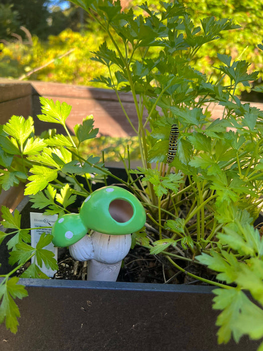 Mushroom Self-Watering Spikes