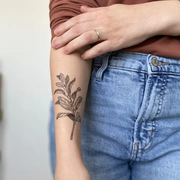 Nature Tats - Temporary Tattoos