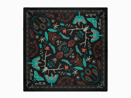 Field Guide Landmark Bandana