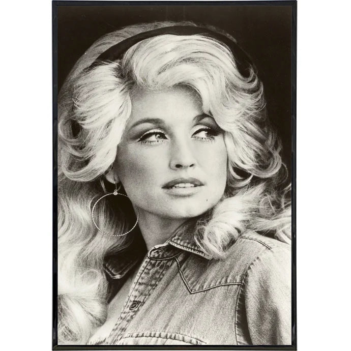 Shady Front 1 Posters 11" x 17"