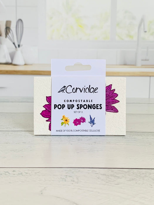 Pop Up Sponge