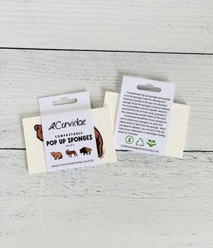 Pop Up Sponge - Set of 3