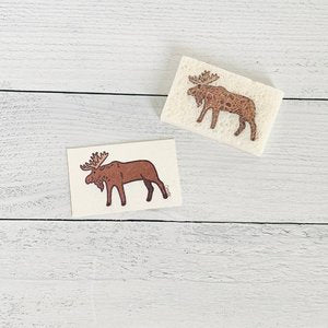 Pop Up Sponge - Set of 3