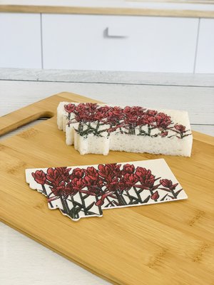 Pop Up Sponge - Set of 3