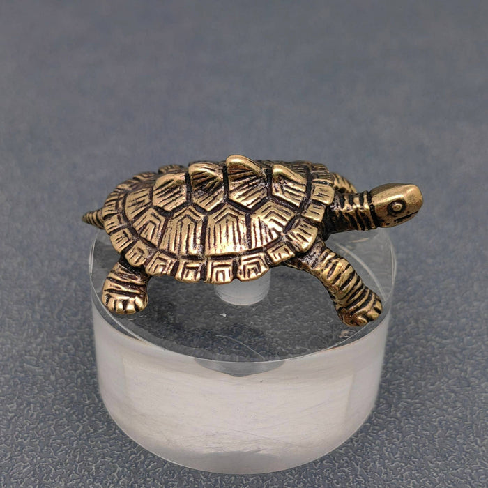 Brass Money Turtle Desktop Decoration