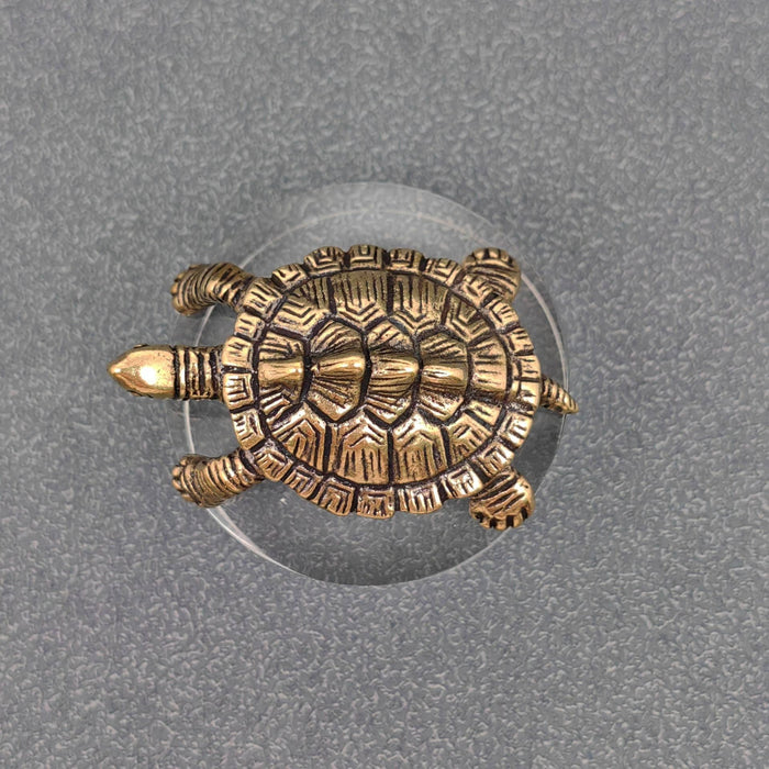 Brass Money Turtle Desktop Decoration