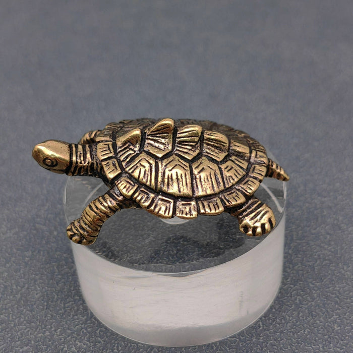 Brass Money Turtle Desktop Decoration