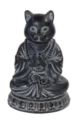 Meditation Cat