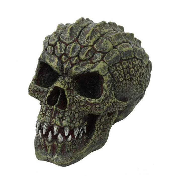Gatorhead Skull
