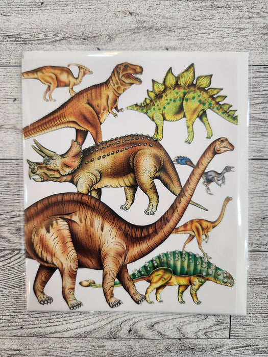 Natural History Museum Card