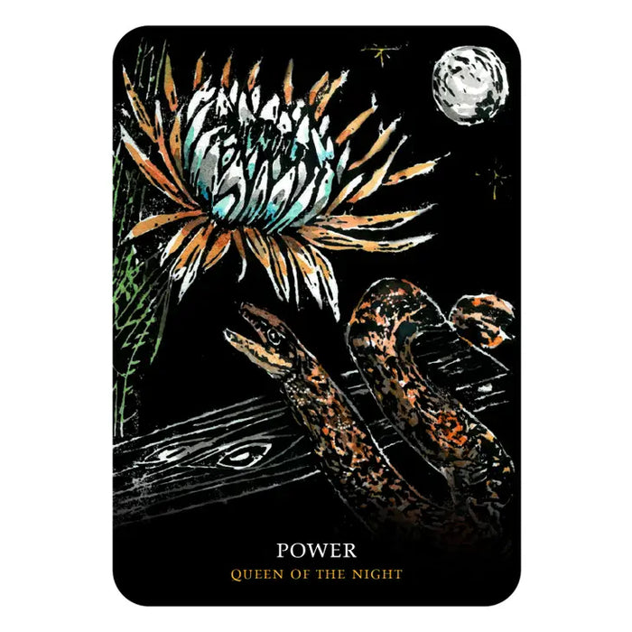 Flowers of the Night Oracle