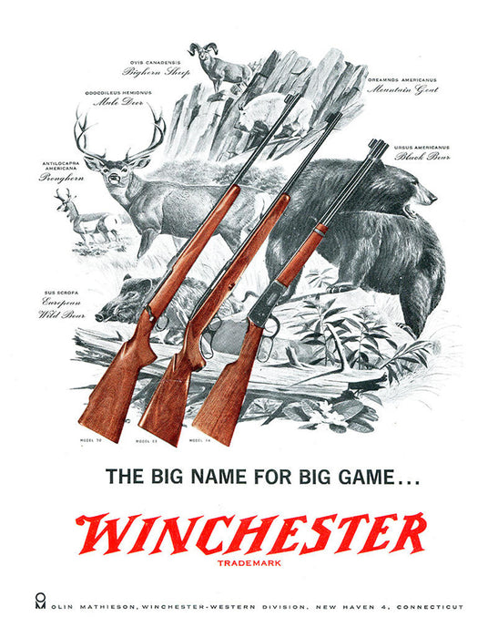 Winchester Tin Sign